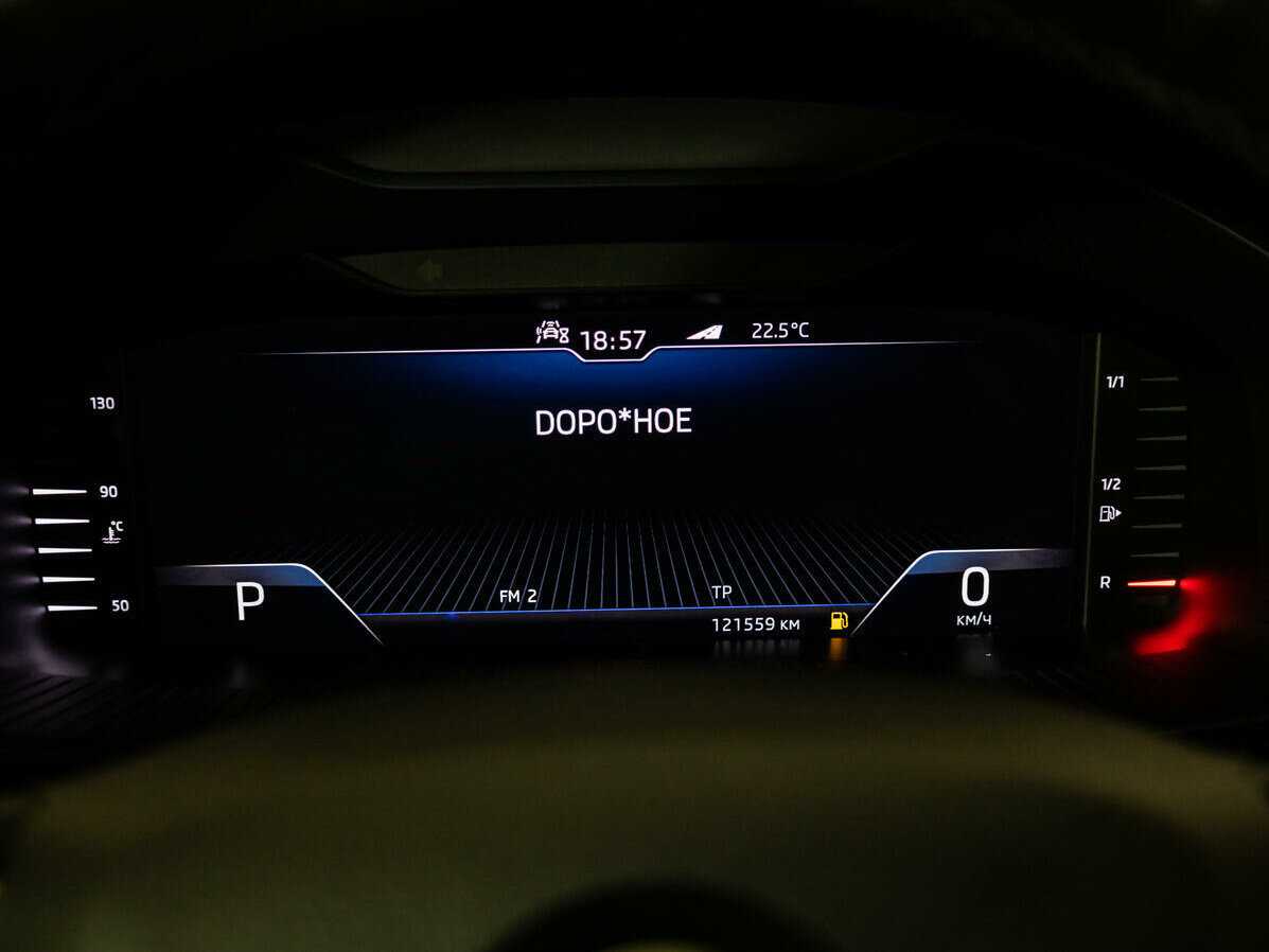 Skoda Kodiaq, 2019 Фото №12