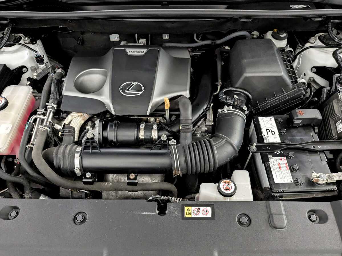 Lexus NX 300, 2019 Фото №9