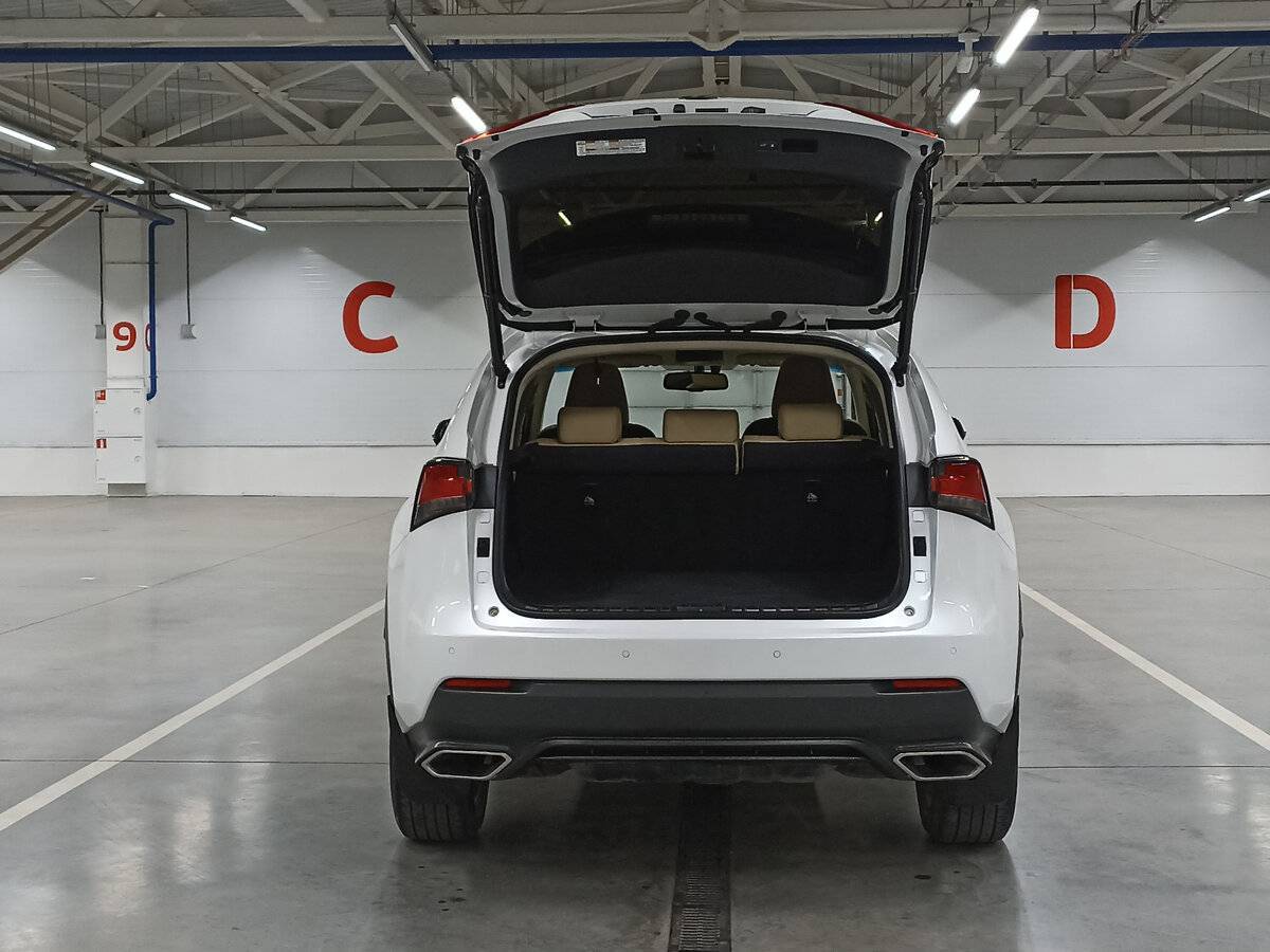 Lexus NX 300, 2018 Фото №10