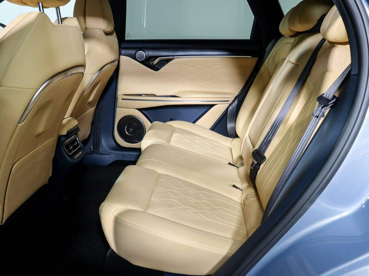 Voyah Free EVR, 2022 Фото №8