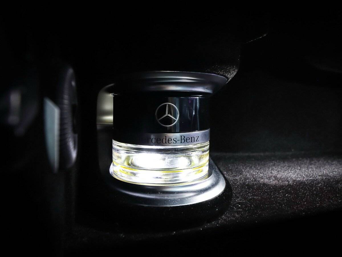 Mercedes-Benz S-Класс 350 CDI BlueTEC Long 7G-TRONIC, 2016 Фото №28