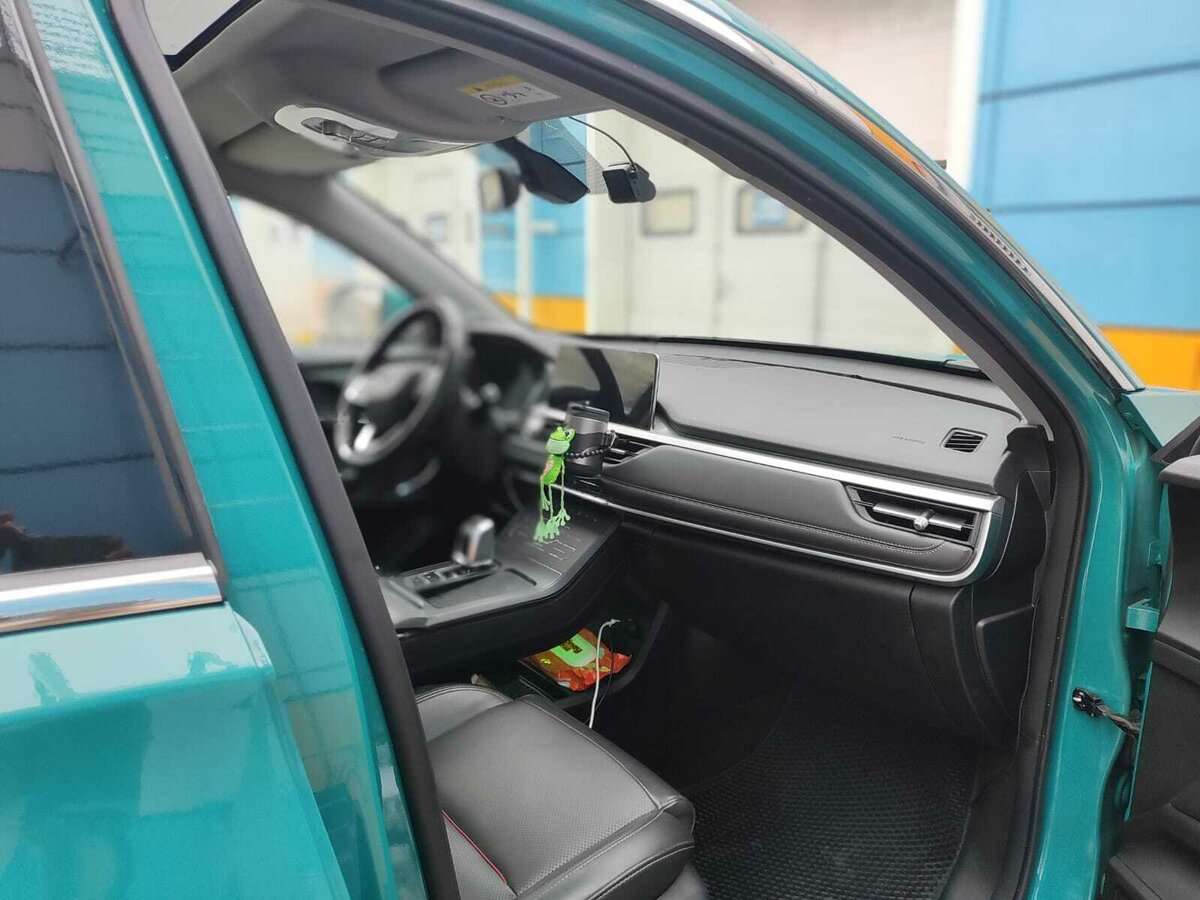 Chery Tiggo 7 Pro, 2020 Фото №9
