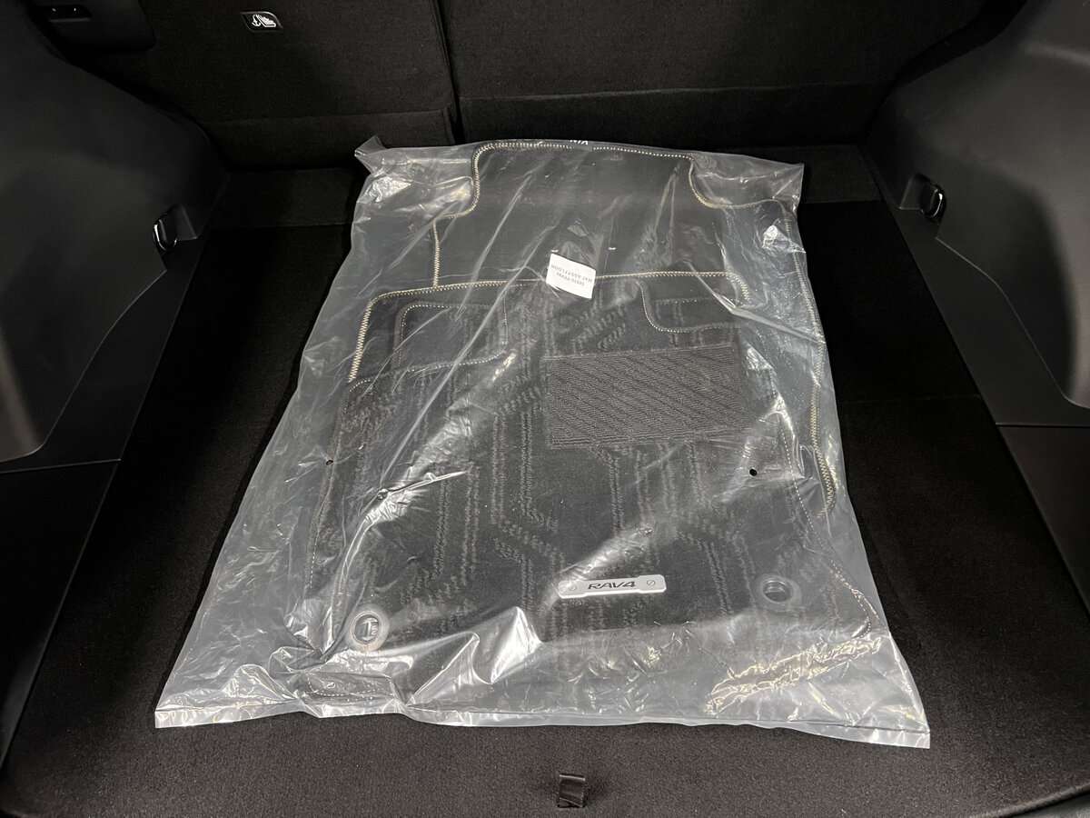 Toyota RAV4, 2024 Фото №22