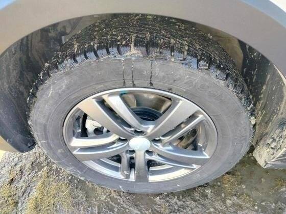 Haval Jolion, 2023 Фото №13